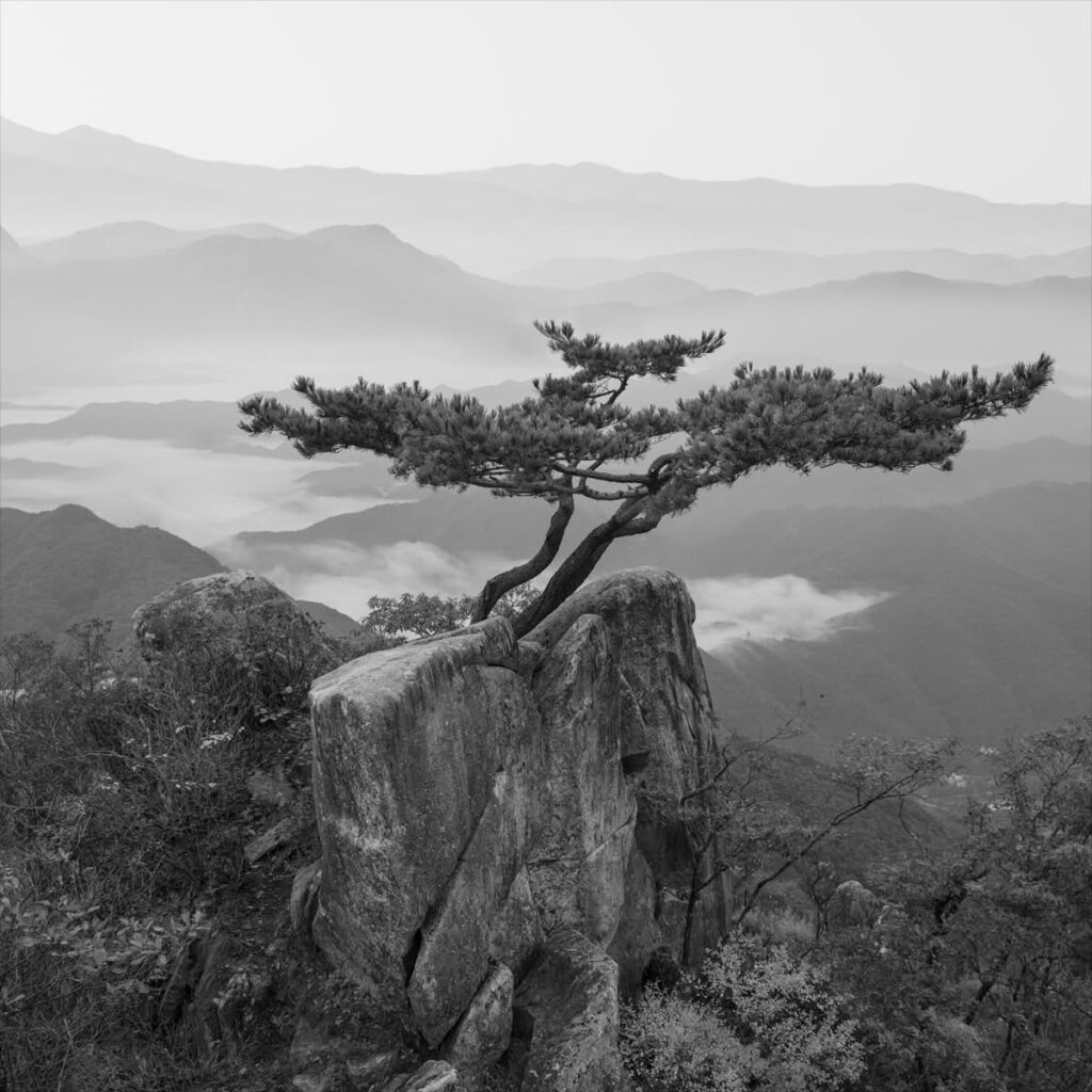 Fine photography works

Artist: Chaerul Umam

Title: Standing at the edge of silence

Matt : Canson Museum Board (France)
Frame : Alumunium Nielsen (German)
Back Tapped Corner : Nielsen (German)
Glass : Acrylic Astari Glass 5mm
Paper : Canson Fine Art paper
Print : Inkjet (Digital) with piezography
Size Photo : 50 × 50
Size MattBoard : 82 x 82