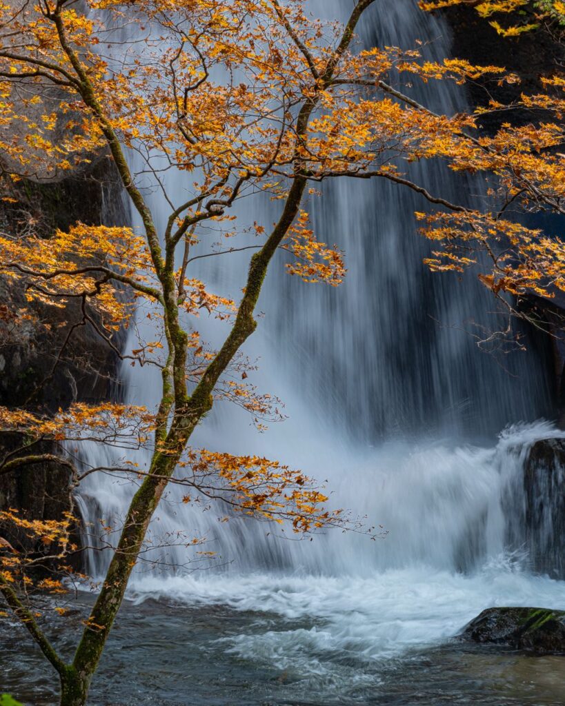 Fine photography works

Artist: Triny Vera

Title: Shimering Solitude

Matt : Museum Board unknown brand
Frame : Abasia Woods
Back Tapped Corner : Alumunium unknown brand
Glass : Glass 5mm
Paper : Ilford smooth cotton rag
Print : Inkjet (Digital)
Size Photo : 48 × 60 cm
Size MattBoard : 58 x 70 cm